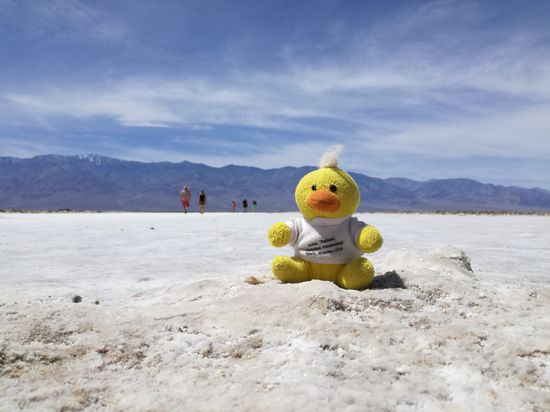 Kevin muss sich auf dem Salzsee ausruhen