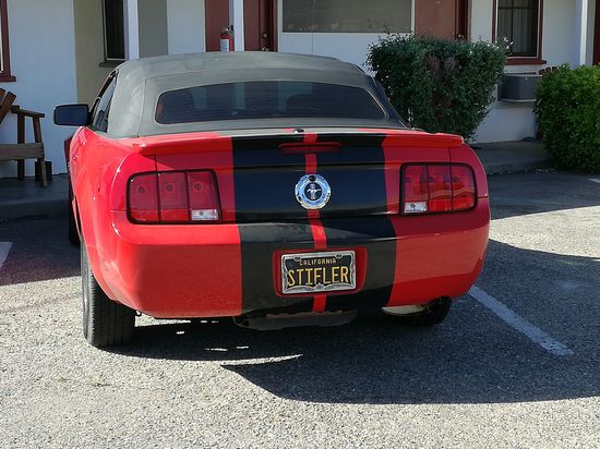 Der Stifler ist auch hier