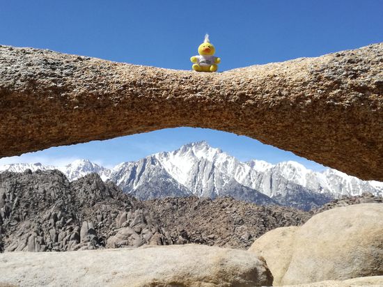 Kevin testet die Tragfähigkeit