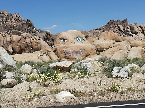 Es grüßen die Ninja Turtles