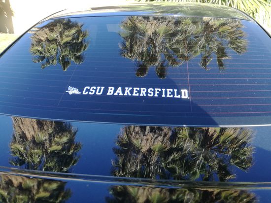 Fundstück des Tages
Ich dachte, die sind nur in Bayern aktiv