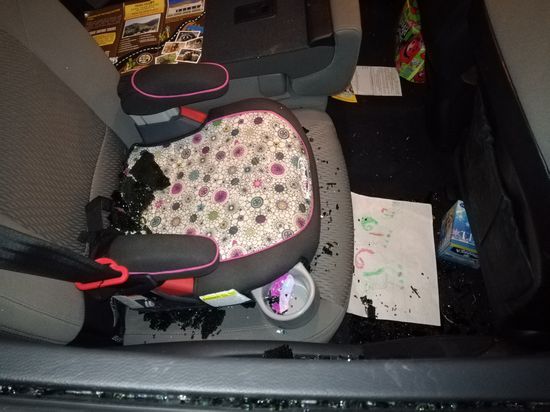 Melinas schöne Bilder wollten sie nicht