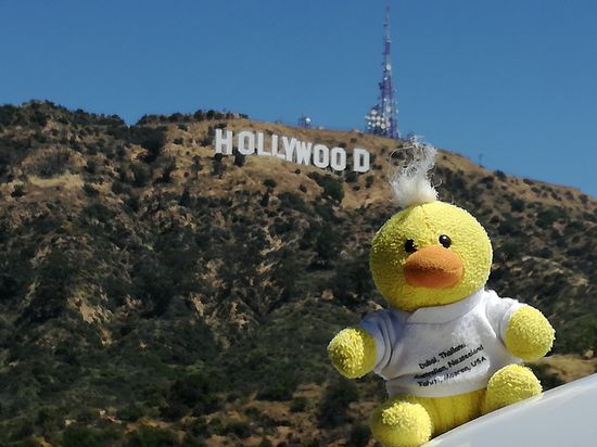 Kevin wollte nicht in San Francisco bleiben, er kommt weiter mit uns mit