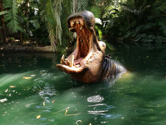 Das sieht alles sehr real aus