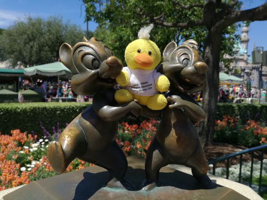 Kevin und seine Kumpels