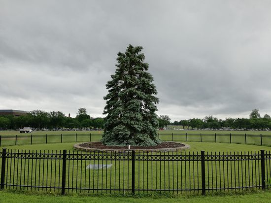 Ungeschmückt sieht er nicht sehr prachtvoll aus