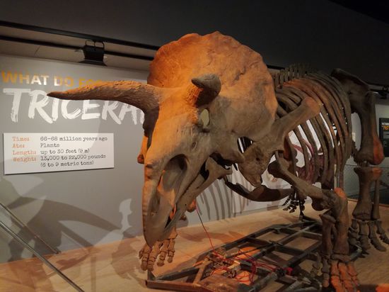 Den gibt es heute nicht mehr