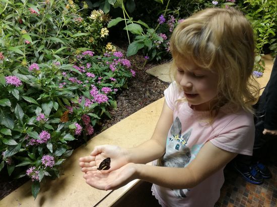 Melinas neuer Freund