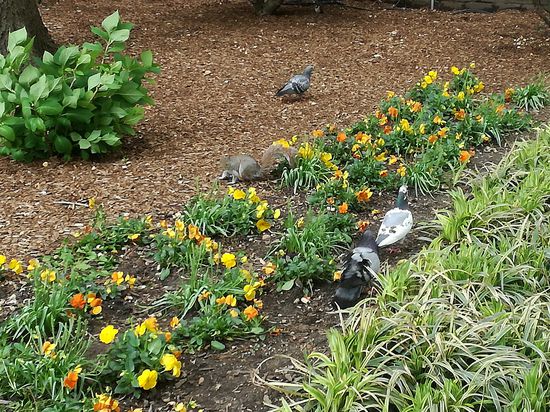 Sieht aus wie im Kleintierzoo