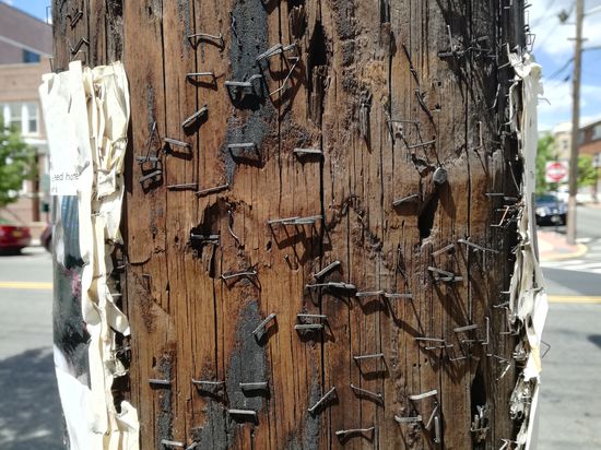 Das schwarze Brett für vermisste Sachen