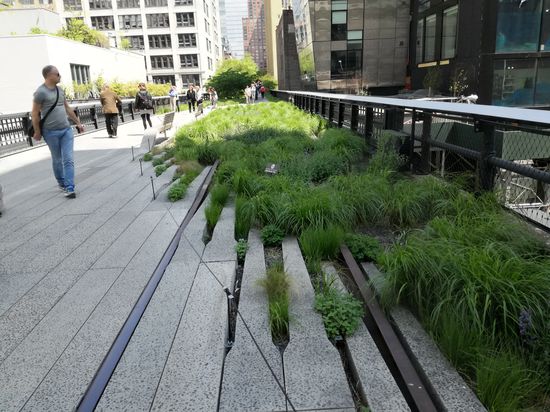 Die High Line teilweise mit den alten Gleisen