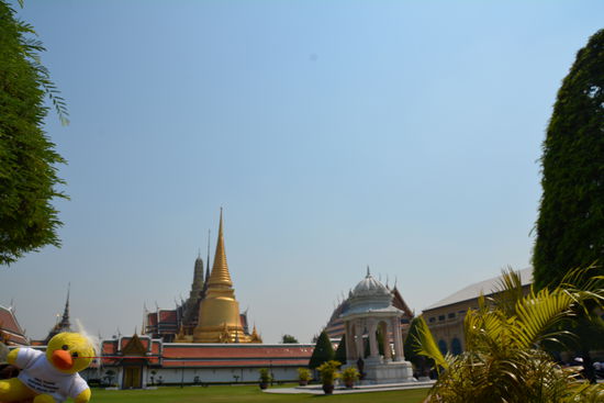 Kevin hat gut aufgepasst....