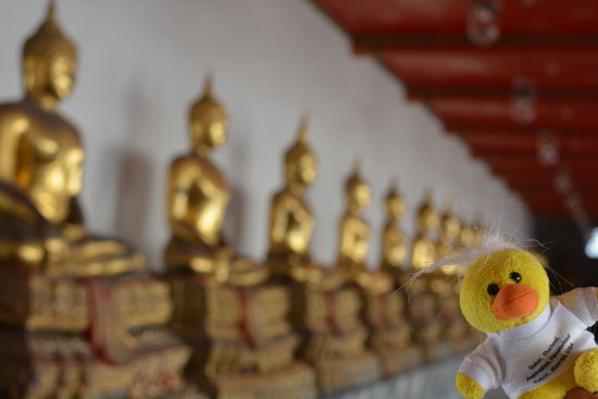und weiß viel über die Bedeutung der Statuen. Im Grunde sind die Tempel der Friedhof und die Statuen im Hintergrund mit unseren Grabsteinen zu vergleichen.
