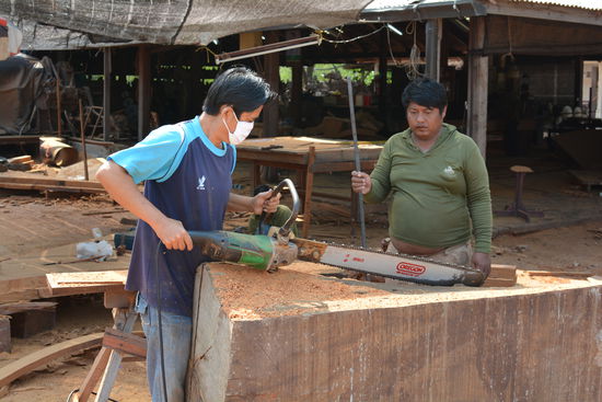 Flex mit Erweiterungskit Säge
