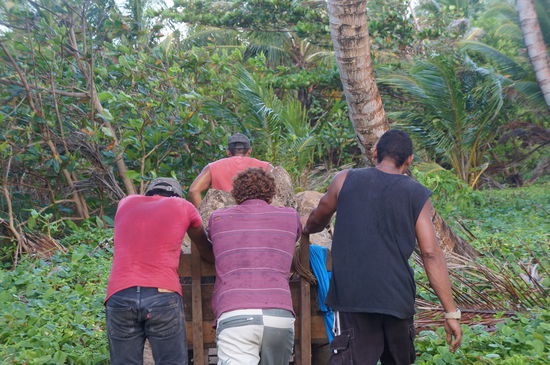 Steine gegen die Klimakatastrophe