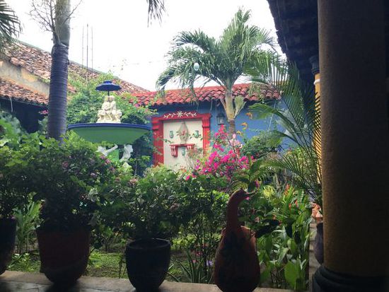 “mein“ Garten am frühen Morgen