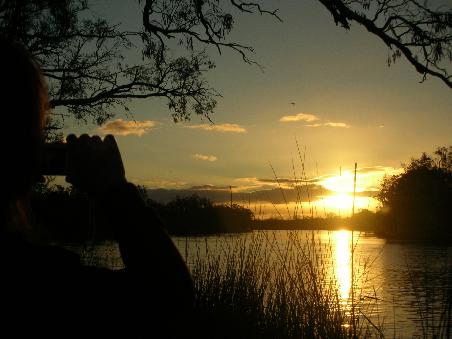 mildura sonnenuntergang am murray river