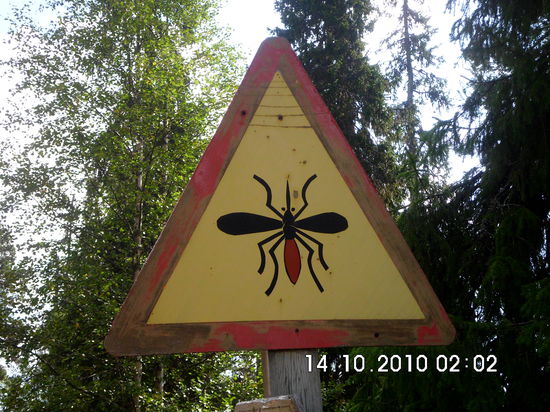 Nach Anlage 1 zu §40 Absatz 6 der StVO handelt es sich um ein Gefahrzeichen. Der Inhalt ist selbsterklärend