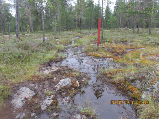 Anhand der roten Pfähle ist der Weg gut erkennbar. Über den Zustand des Weges kann man sicher geteilter Meinung sein.