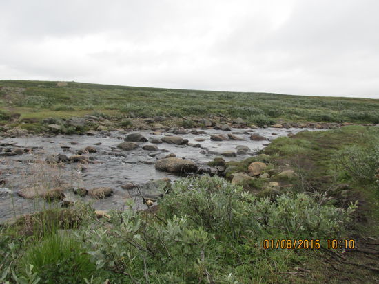 Bei der Überquerung zahlreicher größerer und kleinerer Wasserläufe gibt man sich anfangs noch große Mühe, damit man keine nassen Füße bekommt