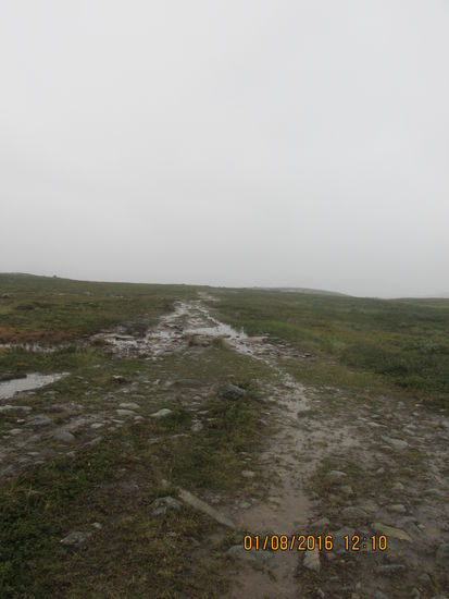 Spätestens hier kann man sich aussuchen, ob die Füße im feuchten Gras neben dem Weg oder auf dem Weg selbst nass werden. Dann schwindet auch das Problem an den Wasserläufen.