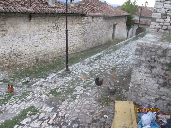 Geflügel, Katzen und andere umherlaufende Haustiere - leider auch der Müll - zeugen davon, dass die alte Burganlage bis heute bewohnt ist.