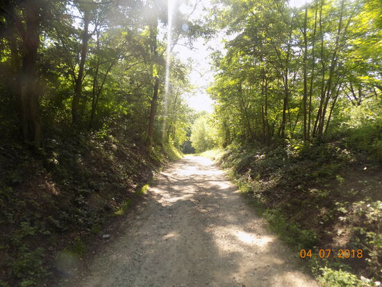 Schöne Natur an der moldawisch/ukrainischen Grenze in der Nähe des Rudi Klosters