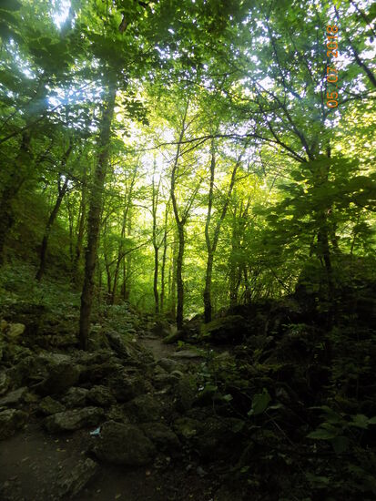 Schöne Natur in der Saharna Gorge