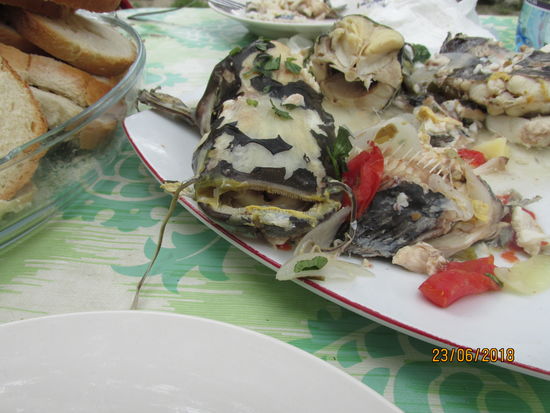 Riesige Fische (Wels?) aus der Donau zum Mittagessen.