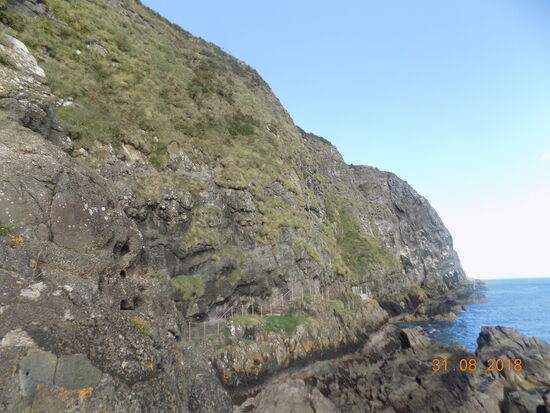 Der Küstenpfad "The Gobbin" schlängelt sich an den Küstenfelsen entlang