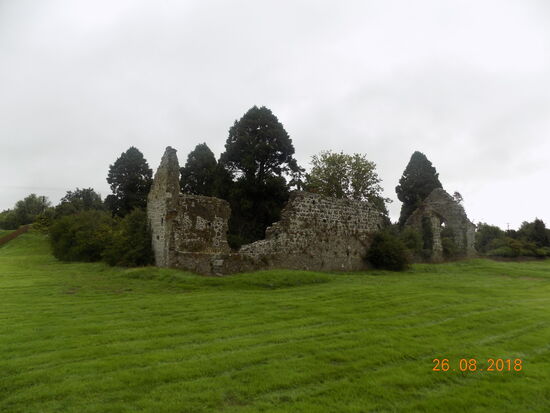 Die Ruinen der Grey Abbey