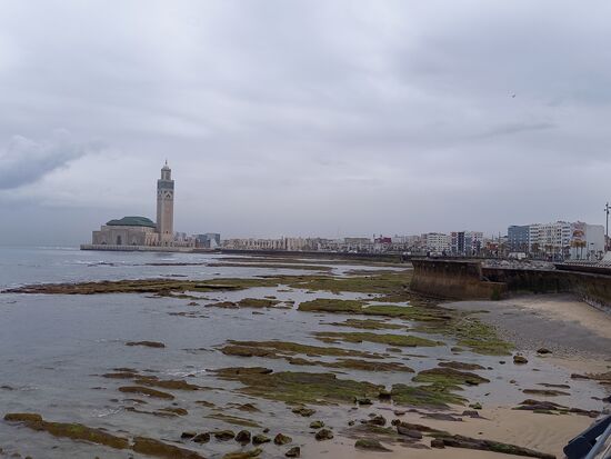 Es ist gerade Ebbe. Die Abwässer der Stadt werden direkt ins Meer eingeleitet und so liegt ein gewisser Geruch in der Luft.