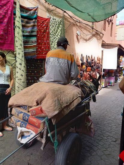 Selbst in den schmalen Gassen sind die Eselkarren anzutreffen.