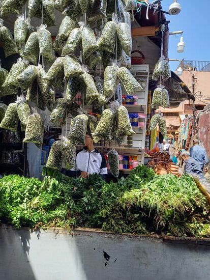 Dann ziehen wir weiter durch die schmalen Gassen, in denen einem die unterschiedlichsten Gerüche entgegen kommen. Hier war es der intensive Geruch der Minze.