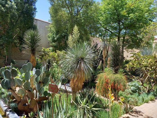 Eine schöne kleine Oase, die zum Verweilen einlädt.