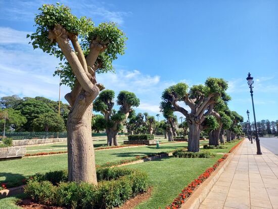 Die Pflege der Anlage rings um den Königspalast ist sehr aufwendig.
