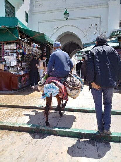 Geradezu elegant bewegen sich Esel und Reiter die Stufen hinauf.