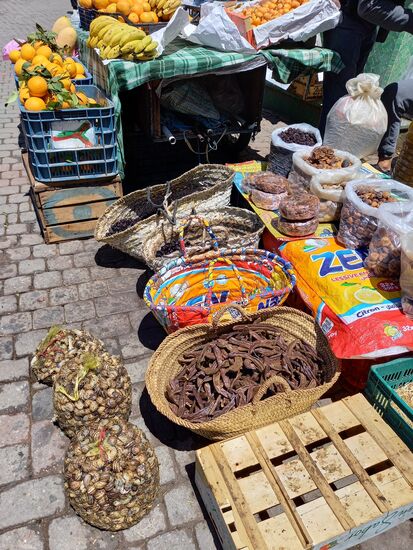 Hier gehören Schnecken zum Angebot.