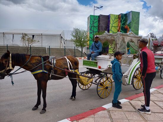 Eine Kutschfahrt führt entlang der Mauer. Aus unserer Sicht nicht empfehlenswert.