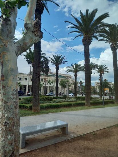 Auf einer mit Palmen gesäumten Straße fahren wir Stadteinwärts. Unser Riad liegt in der Altstadt in einer kleinen Gasse. Hinter einer eher unscheinbaren Tür eröffnet sich eine wunderschöne Unterkunft.