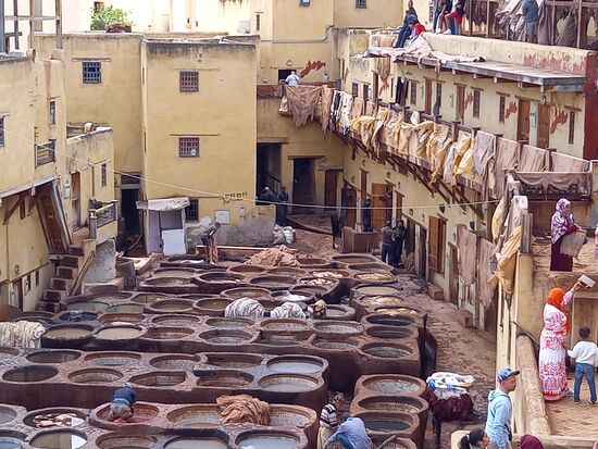 Anschließend wird das Leder gefärbt.