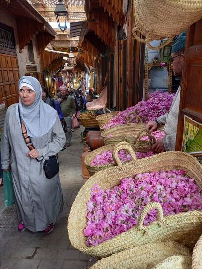 Rosenblätter aus denen Rosenwasser hergestellt wird.