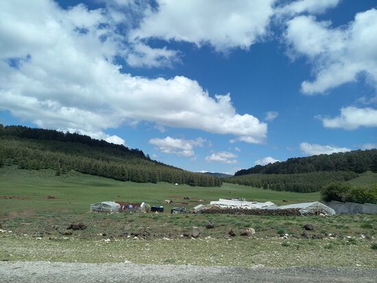 Unterwegs sehen wir die Unterkünfte der Halbnomaden, die hier mit ihren Tieren die Sommermonate verbringen.