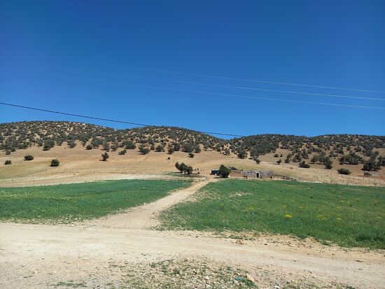 In der Ferne wieder ein einzelner Hof.