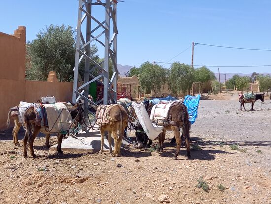 Ein Parkplatz für die Esel  