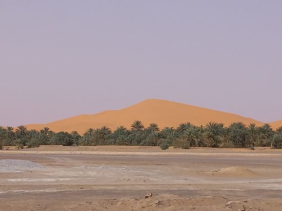 In der Ferne tauchen die ersten Sanddünen auf.
