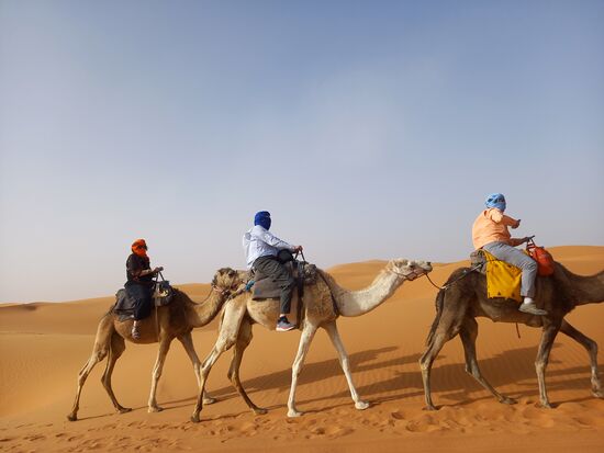 Unterwegs sehen wir die erste Karawane dahin schaukeln. Ich freue mich schon riesig auf unseren Kamelritt in die Wüste.