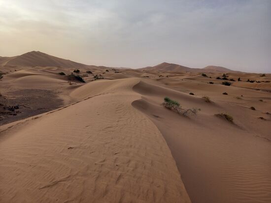 Atemberaubend schön