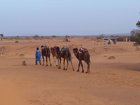 Unser Kamelritt wurde für heute Abend abgesagt.  Der Wind ist zu stark. Uns kommt das sehr gelegen. Denn irgendwie waren wir geschafft von der langen Fahrt und außerdem können wir so den Sonnenaufgang auf dem Kamel entgegen reiten.