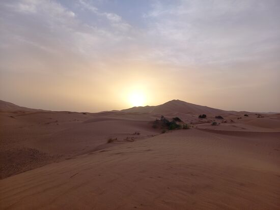 Wir genießen diesen Anblick